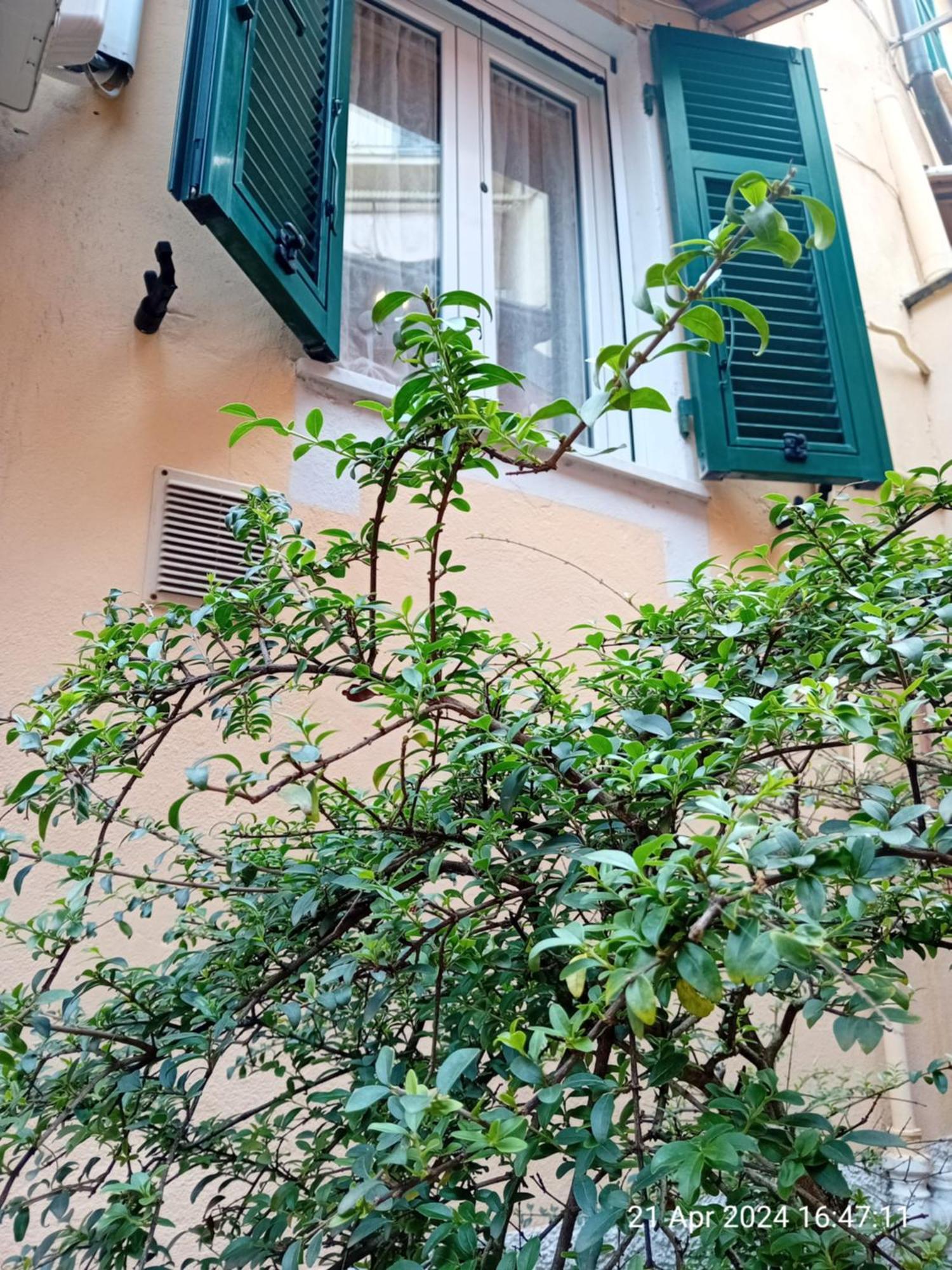 Appartamento Il Vicolo La Spezia Cinque Terre المظهر الخارجي الصورة