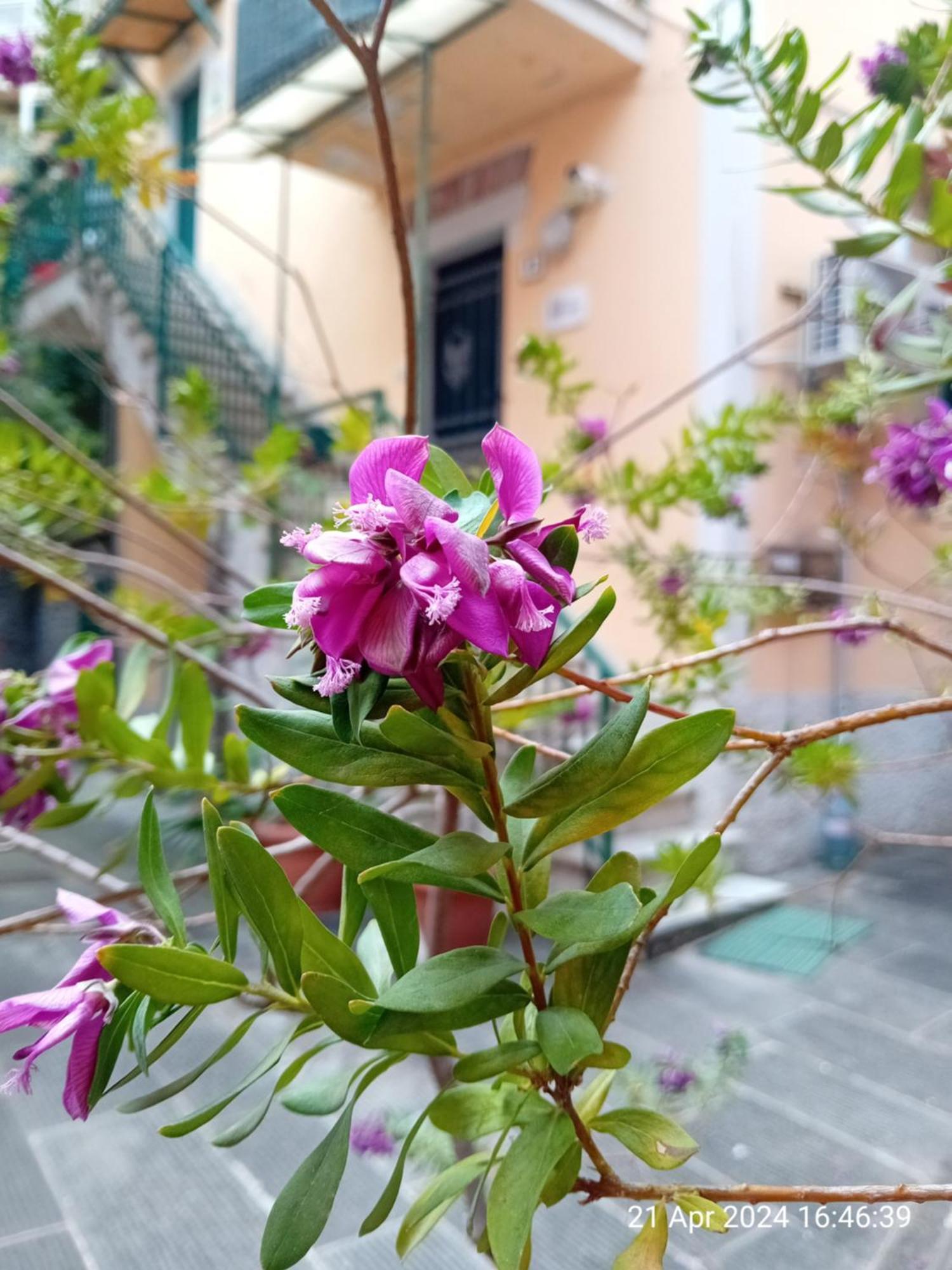 Appartamento Il Vicolo La Spezia Cinque Terre المظهر الخارجي الصورة